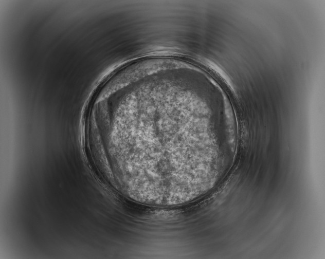 X0000092301419200710121438