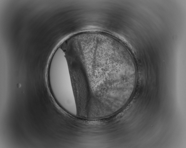 X0000092301421200710121438