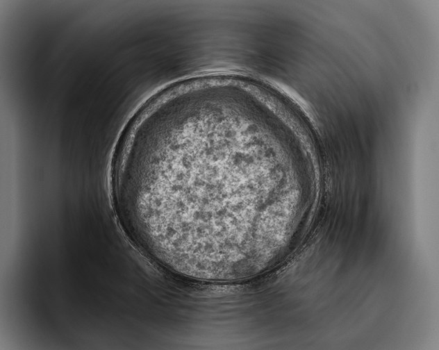 X0000092301423200710121438