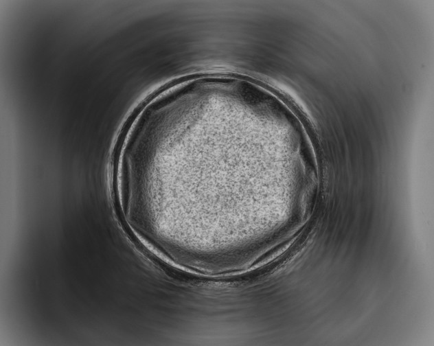 X0000092301424200710121438