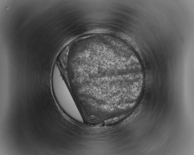 X0000092301425200710121438