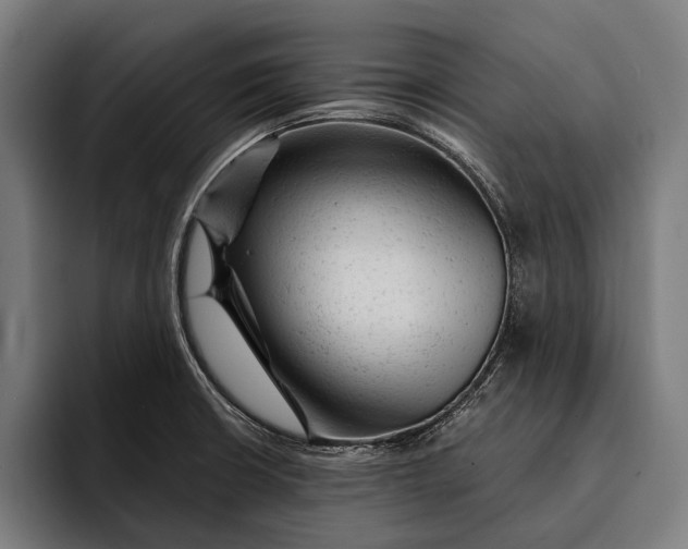 X0000092301426200710121438