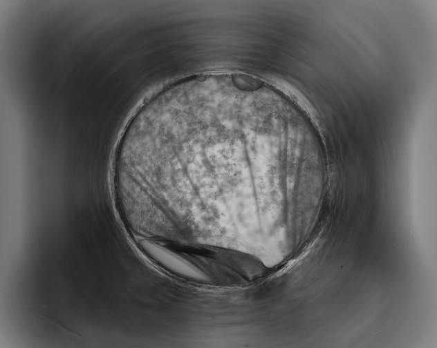 X0000092301429200710121438