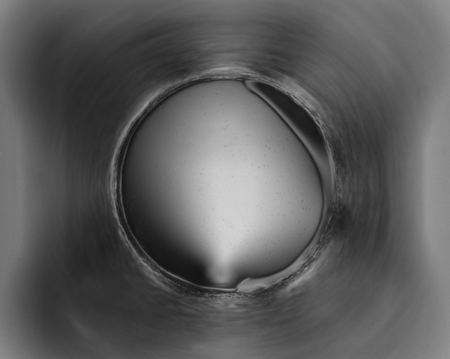 X0000092301430200710121438