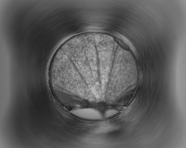 X0000092301435200710121439