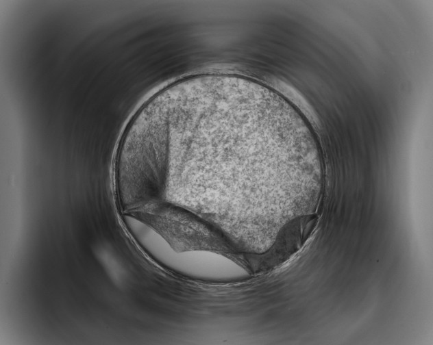 X0000092301436200710121439