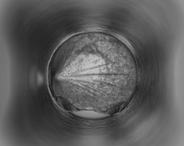 X0000092301439200710121439