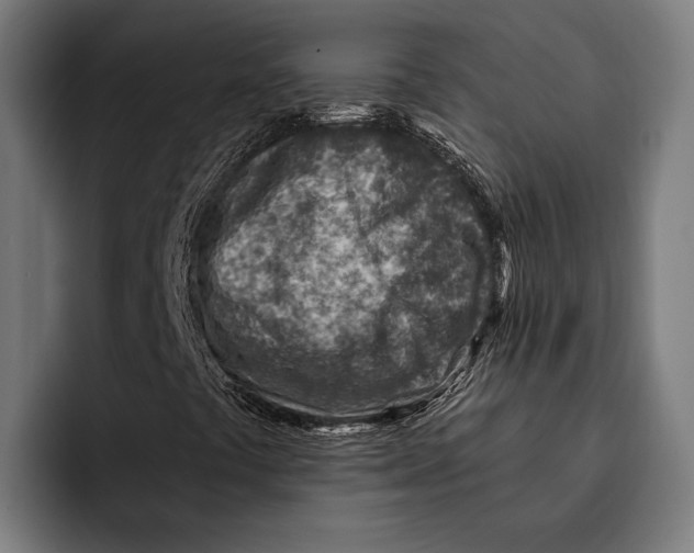 X0000092301441200710121438