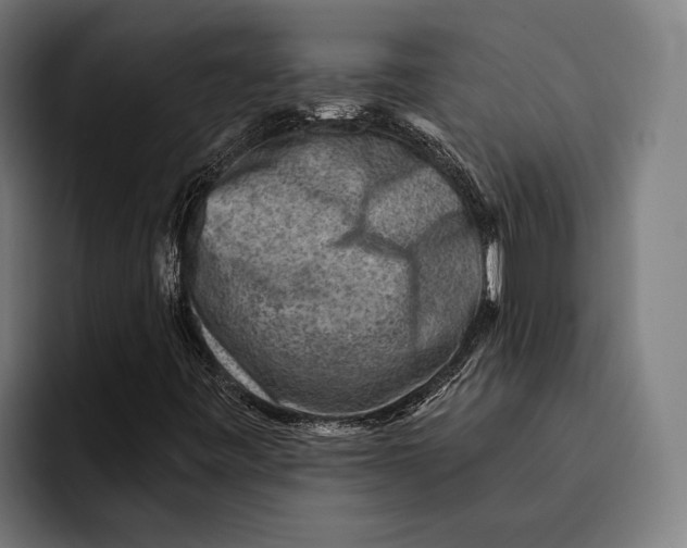 X0000092301443200710121438