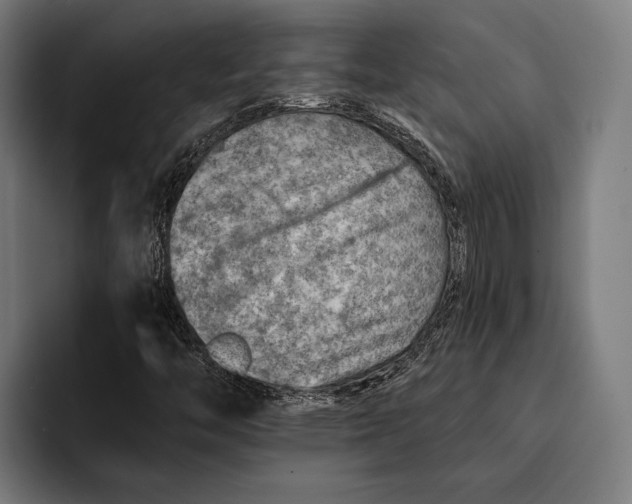 X0000092301446200710121438