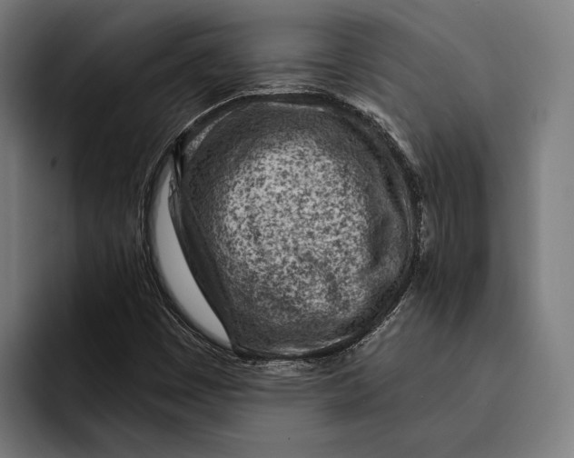 X0000092301449200710121438