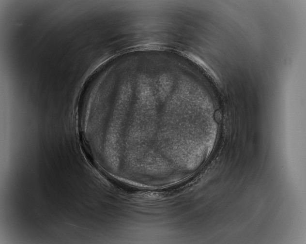 X0000092301450200710121438