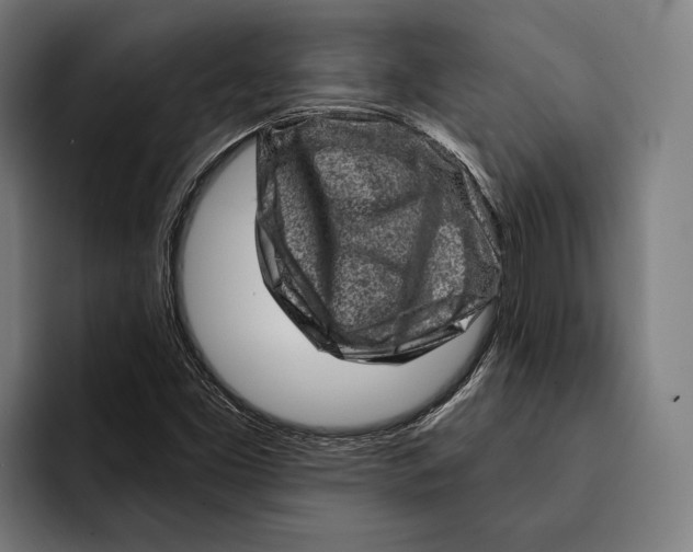 X0000092301453200710121438