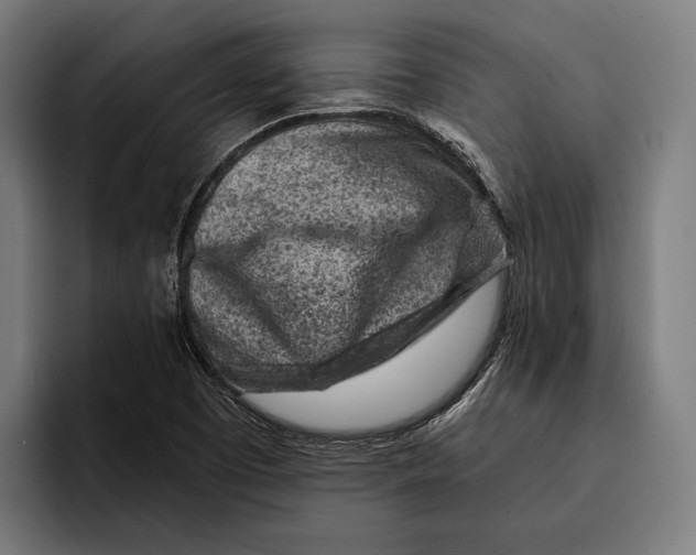 X0000092301457200710121438