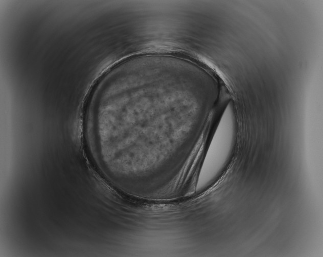 X0000092301459200710121438