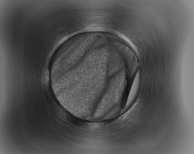 X0000092301461200710121438