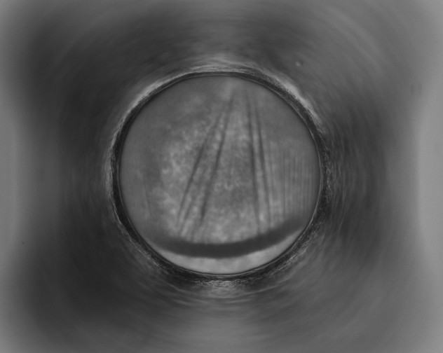 X0000092301463200710121438