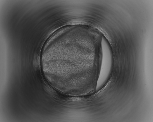 X0000092301465200710121438