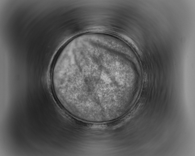 X0000092301466200710121438