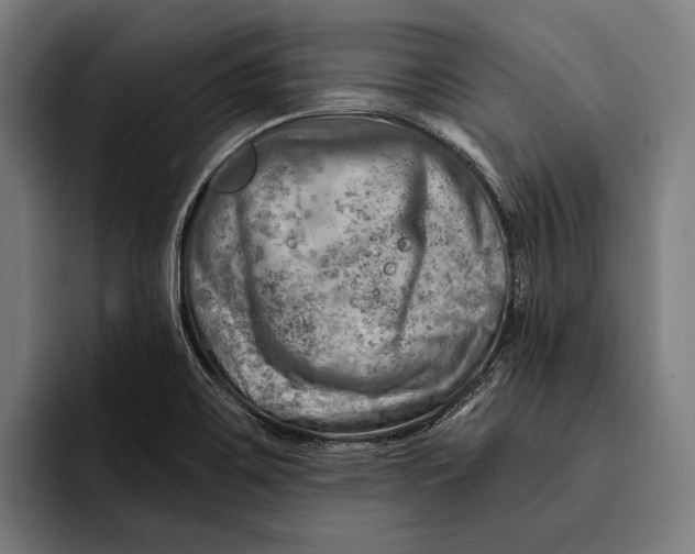 X0000092301467200710121438