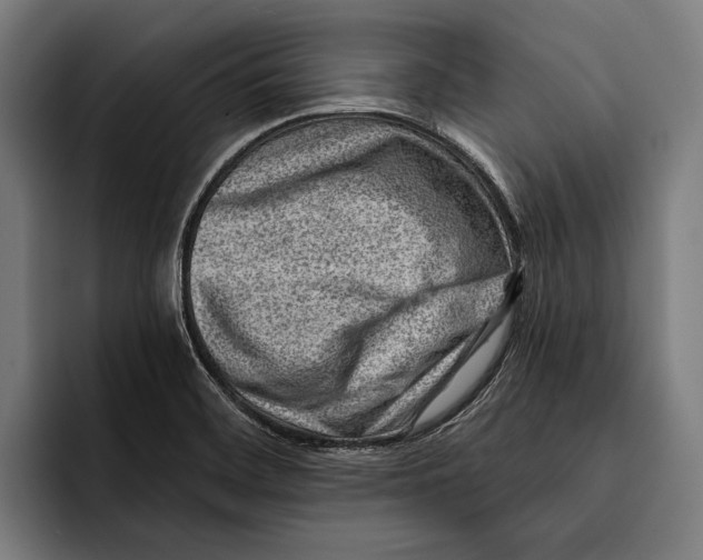 X0000092301468200710121438