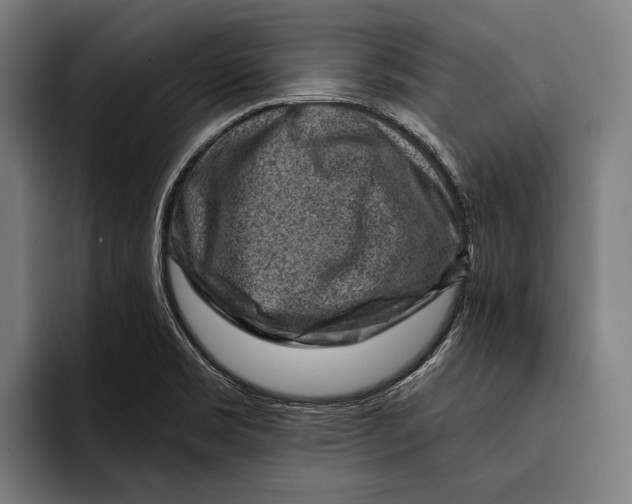 X0000092301469200710121438