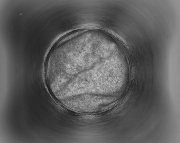 X0000092301470200710121438