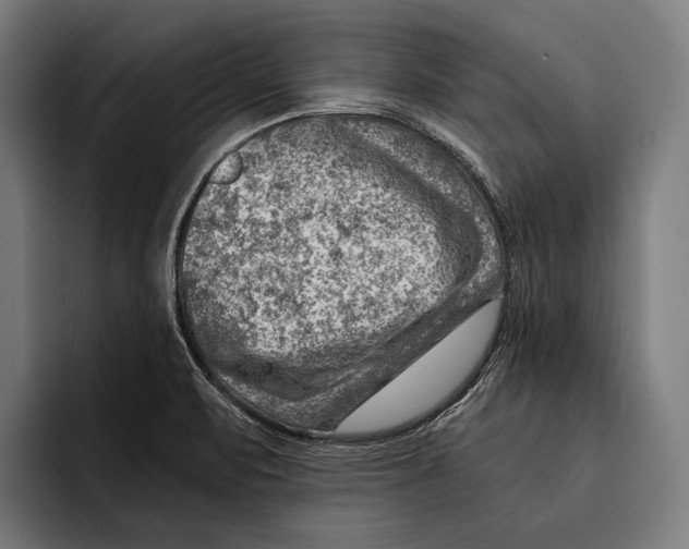 X0000092301471200710121438