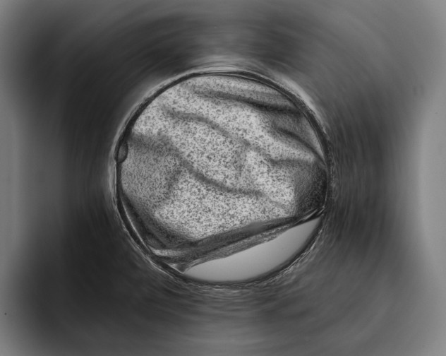 X0000092301472200710121438