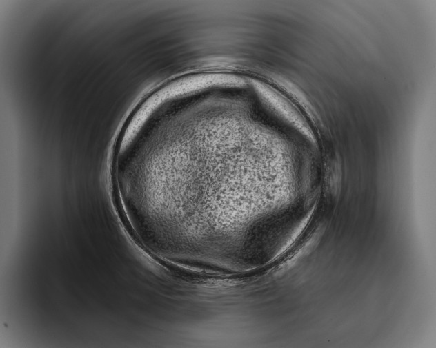 X0000092301475200710121438