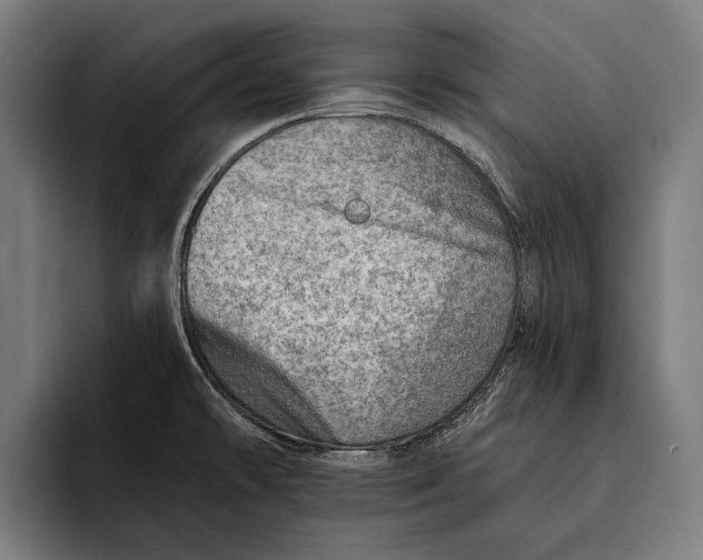 X0000092301478200710121438