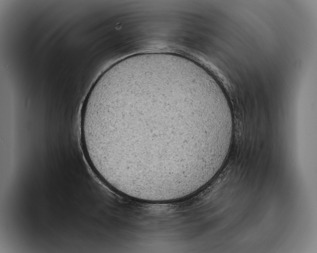 X0000092301479200710121438