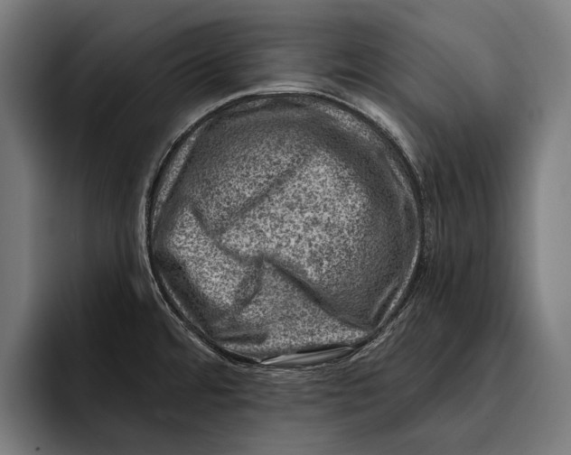 X0000092301480200710121438