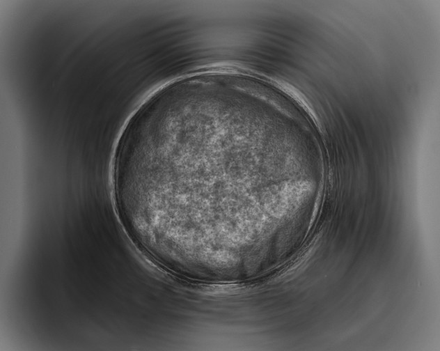 X0000092301482200710121438