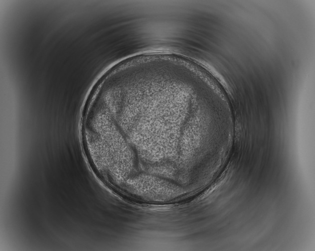 X0000092301484200710121438