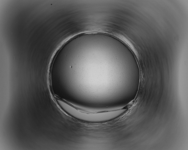 X0000092301485200710121438