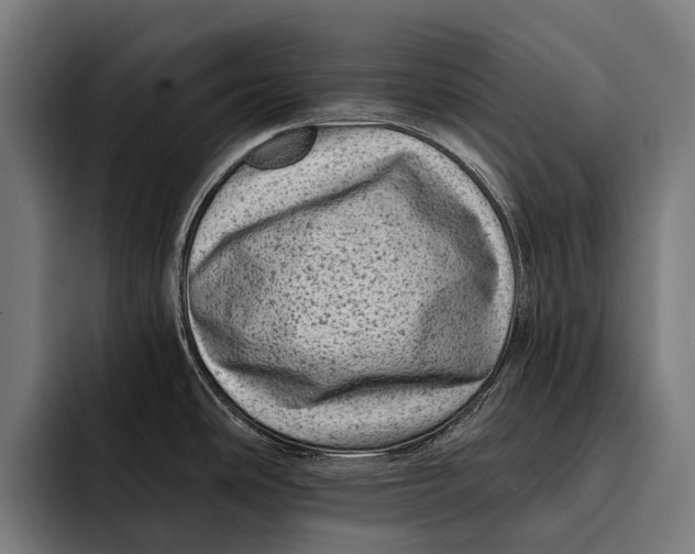 X0000092301486200710121438