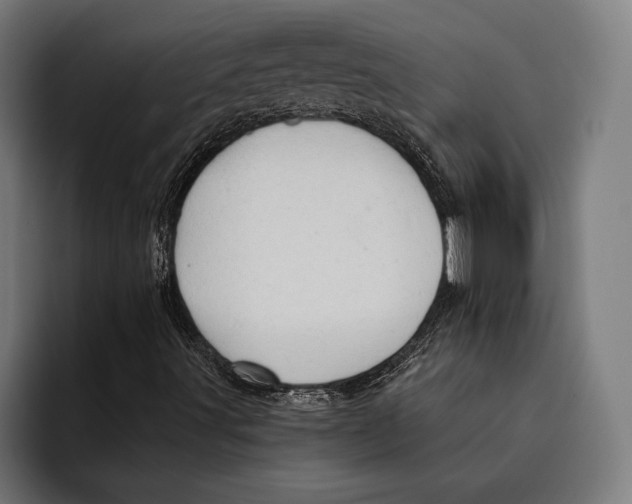 X0000092301491200710121437