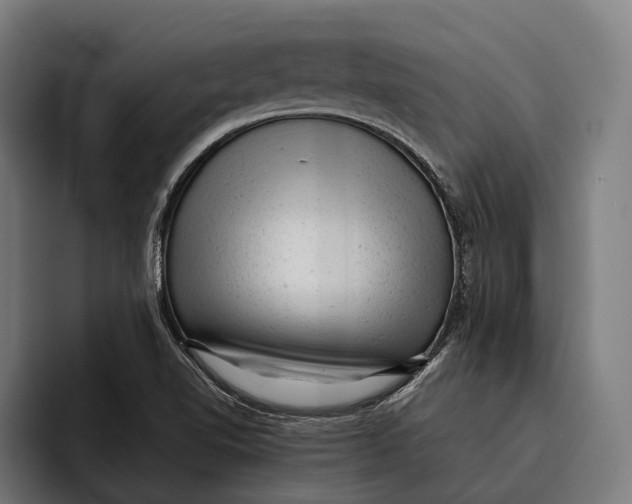 X0000092301510200710121437