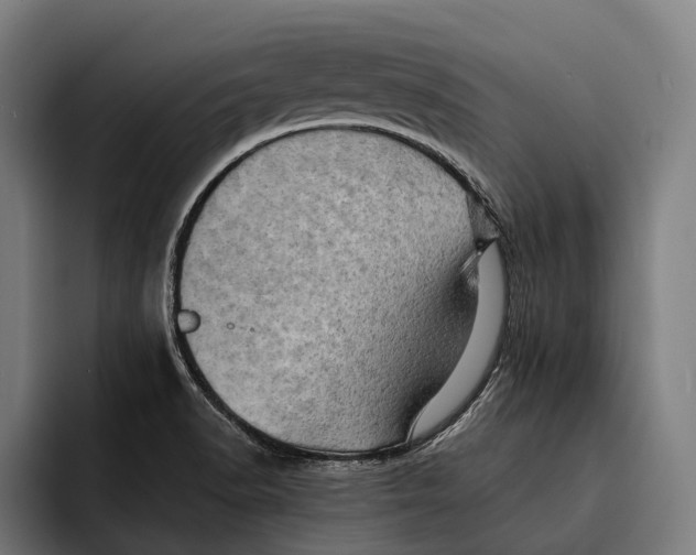 X0000092301518200710121437