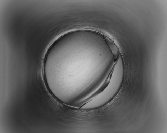 X0000092301520200710121437