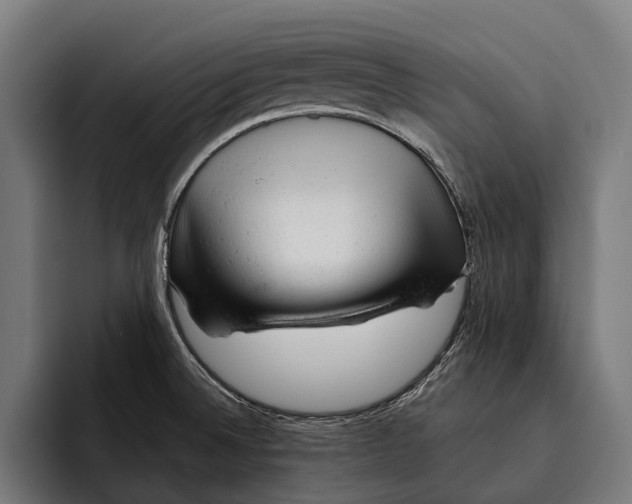 X0000092301524200710121437