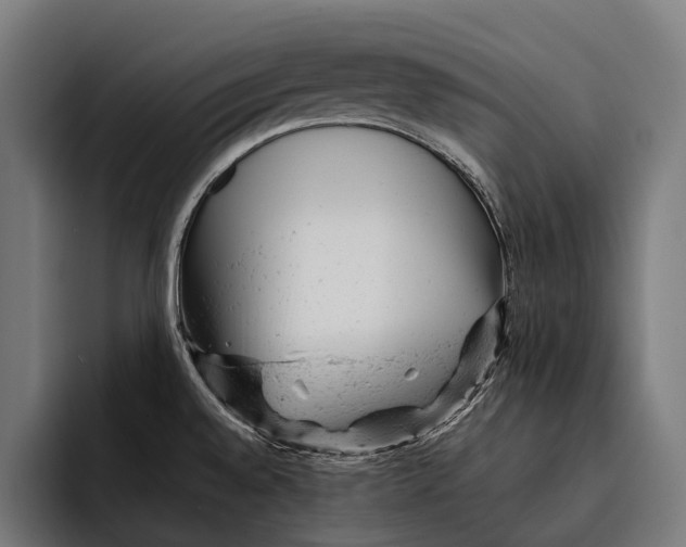 X0000092301528200710121437