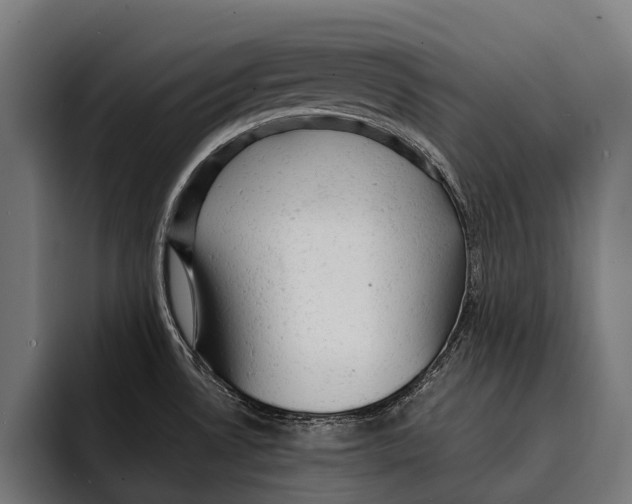 X0000092301530200710121437