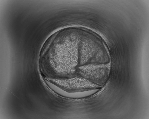 X0000092301534200710121437