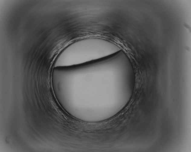 X0000092310002200709141041