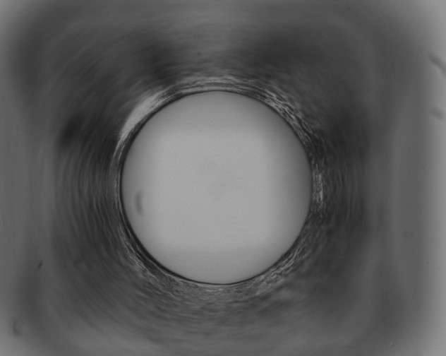 X0000092310004200709141041