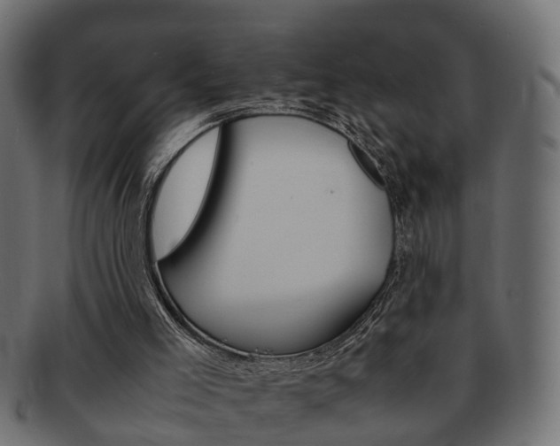 X0000092310005200709141041