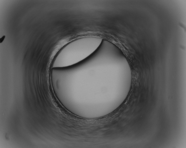 X0000092310006200709141040