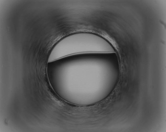 X0000092310009200709141040